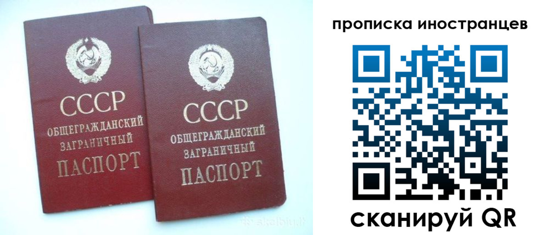 прописка 2025 в Озёрске